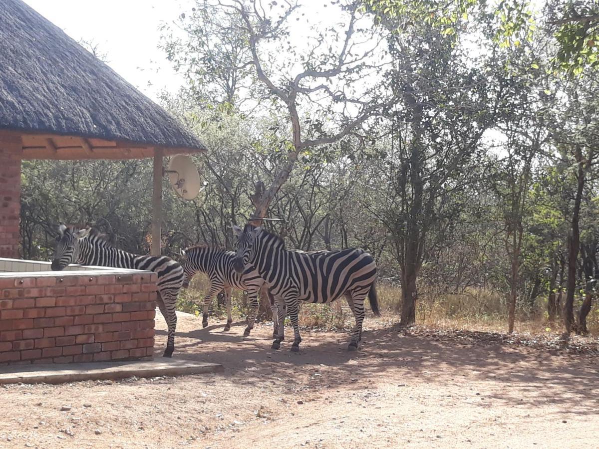 Eagle'S Crest Villa Marloth Park Exterior photo
