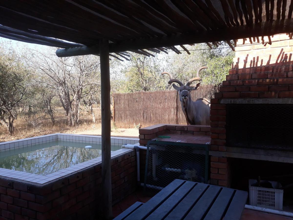 Eagle'S Crest Villa Marloth Park Exterior photo