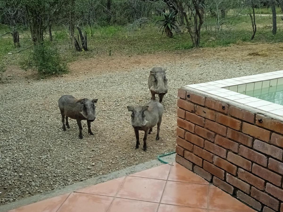 Eagle'S Crest Villa Marloth Park Exterior photo
