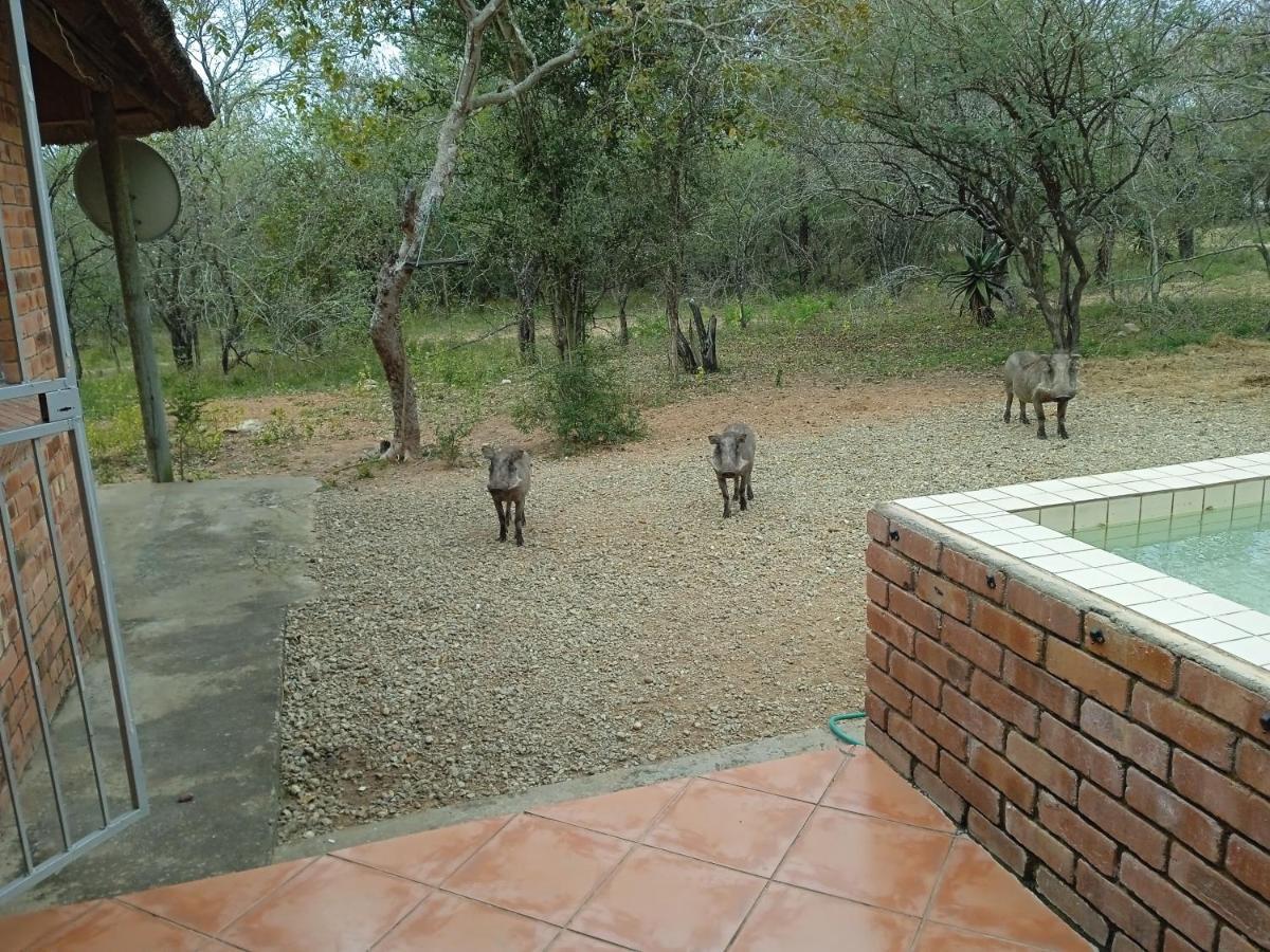 Eagle'S Crest Villa Marloth Park Exterior photo