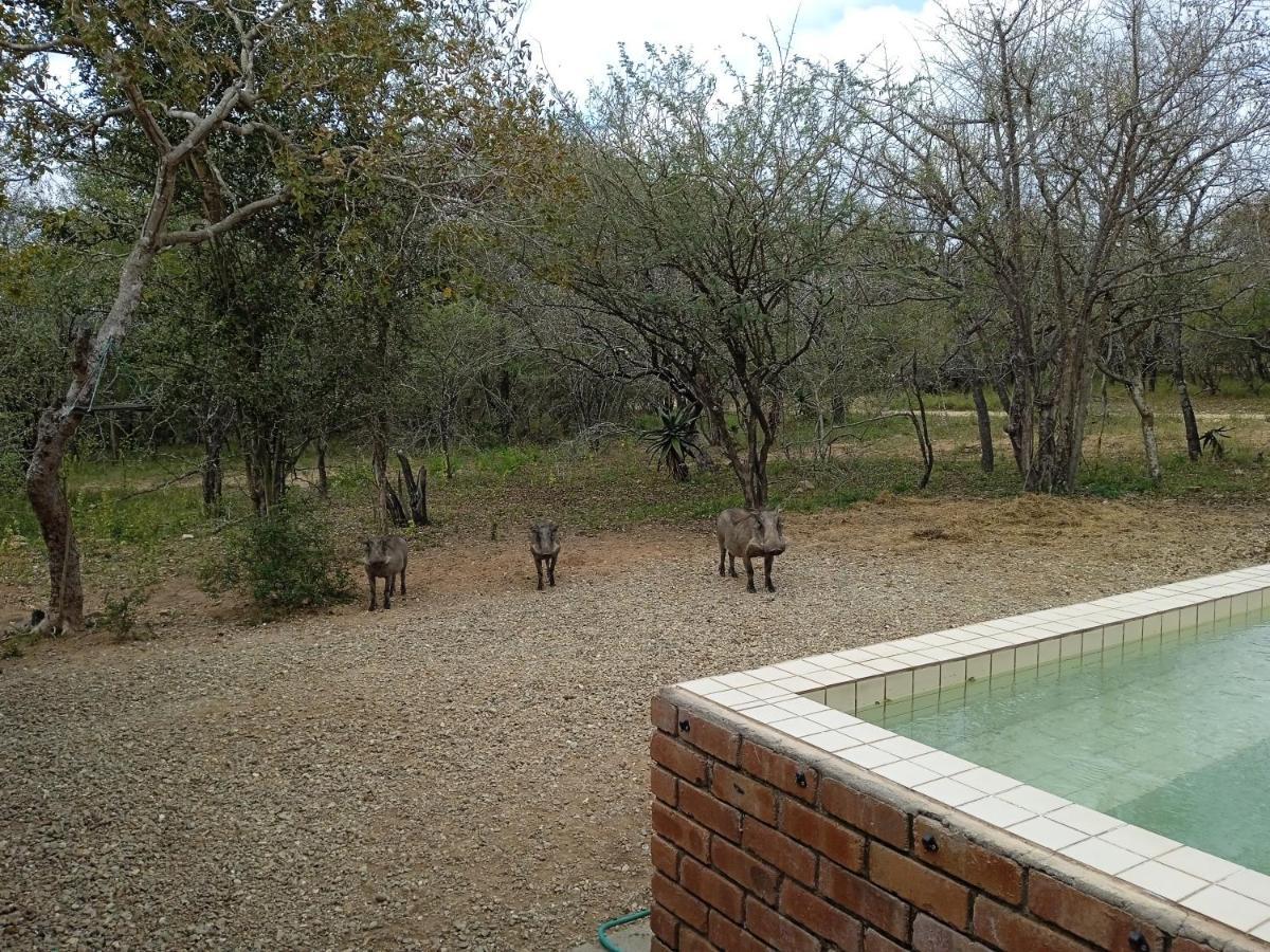 Eagle'S Crest Villa Marloth Park Exterior photo