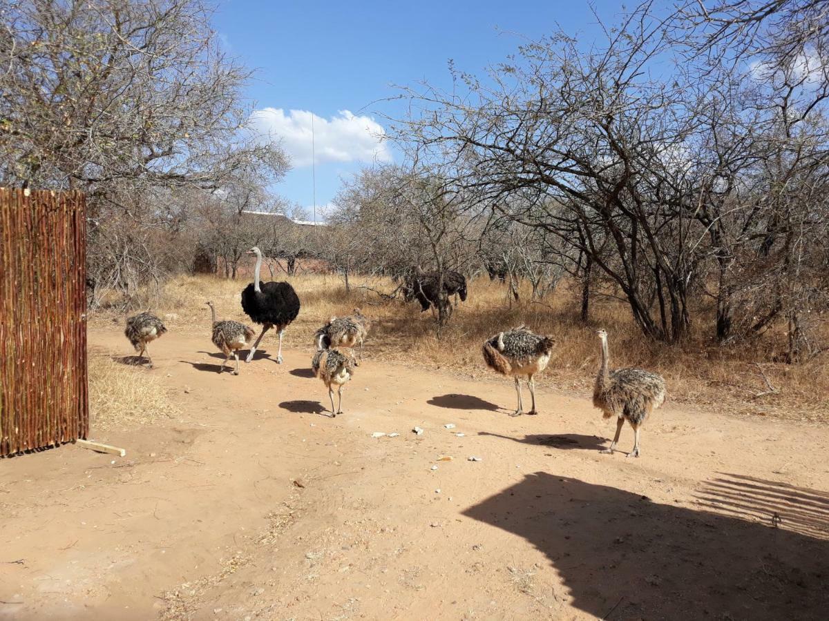 Eagle'S Crest Villa Marloth Park Exterior photo